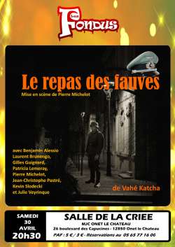 affiche fauves Rodez